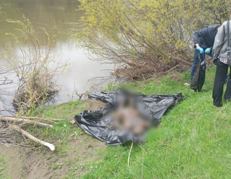 В Башкирии из реки достали труп мужчины