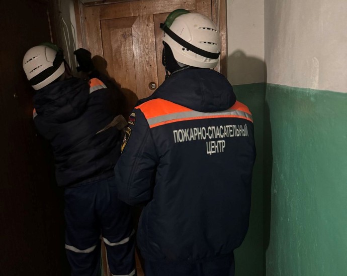 В Пензе спасатели вскрыли квартиру в 1-м проезде Лобачевского В Пензе спасатели вскрыли квартиру в 1-м проезде Лобачевского