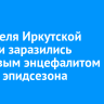 92 жителя Иркутской области заразились клещевым энцефалитом с начала эпидсезона