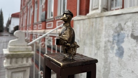 В Башкирии появились новые арт-объекты: ищем гусей в Стерлитамаке