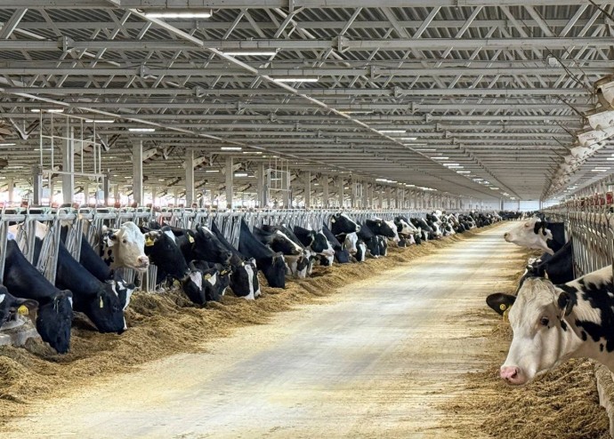 Ярославская область вошла в топ-5 регионов России по приросту индекса производства сельхозпродукции Ярославская область вошла в топ-5 регионов России по приросту индекса производства сельхозпродукции