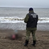 Труп мужчины выбросило на берег моря на Сахалине