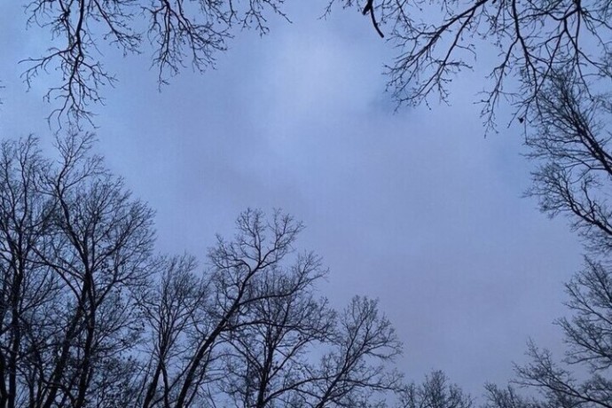 Белгородцев предупредили о мокром снеге и гололедице в воскресенье