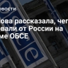 Жданова рассказала, чего требовали от России на Форуме ОБСЕ