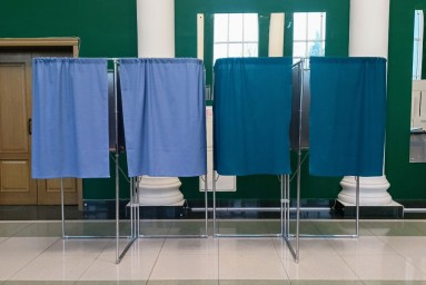 Избирком озвучил явку на выборах в Пензенской области