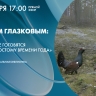 Павел Глазков расскажет о том, как животные готовятся к зиме. Смотрите онлайн-трансляцию прямо сейчас