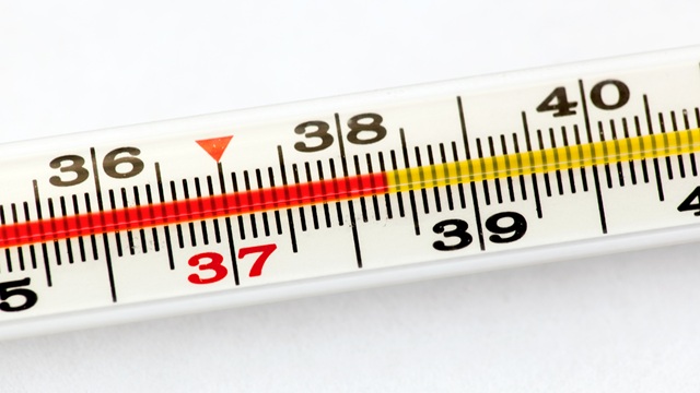 Самозанятые в 2026 году смогут получить выплаты в случае нетрудоспособности