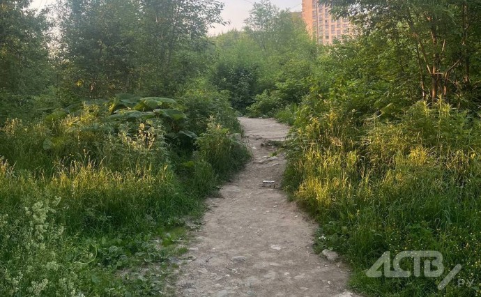 В Южно-Сахалинске неизвестный мужчина пытался увести девочку-подростка с улицы