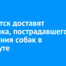 В Иркутск доставят мальчика, пострадавшего от нападения собак в Усть-Куте