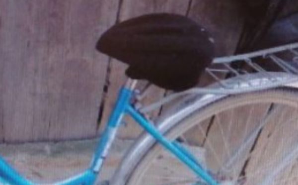 Улан-удэнец будет полтора года отрабатывать кражу велосипеда Улан-удэнец будет полтора года отрабатывать кражу велосипеда