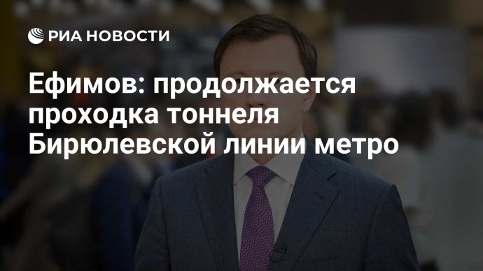 Ефимов: продолжается проходка тоннеля Бирюлевской линии метро