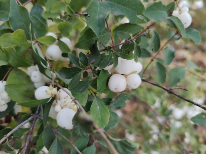 В Башкирии водителям сделали важное предупреждение В Башкирии водителям сделали важное предупреждение