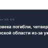 Два человека погибли, четверо ранены в Херсонской области из-за украинских атак