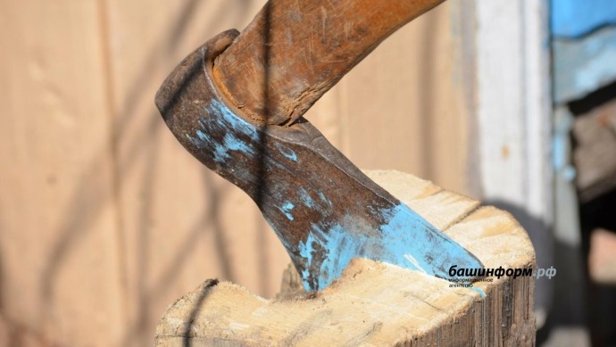 В Башкирии помилуют осужденного за срубленное дерево мужчину В Башкирии помилуют осужденного за срубленное дерево мужчину