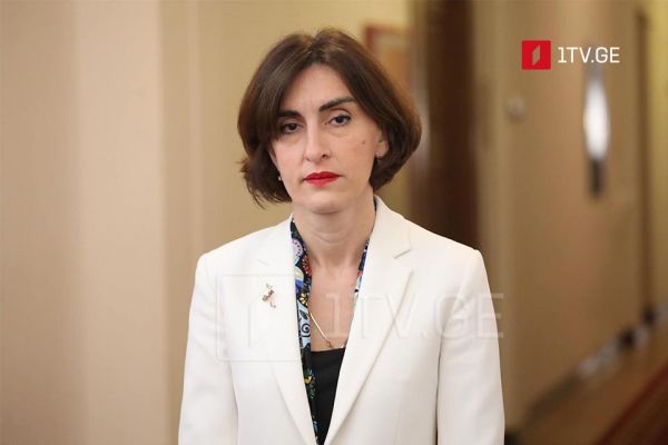 Грузия продолжает тесно сотрудничать с ЕС и НАТО, заявила глава МИДа