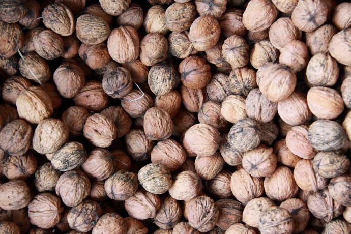 Что везут в Пензенскую область? Названы объёмы подкарантинных грузов за месяц Что везут в Пензенскую область? Названы объёмы подкарантинных грузов за месяц