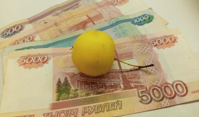 Как в 2026 году вырастут пособия