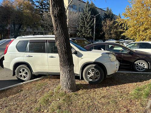 Олег Имамеев рассказал о борьбе с автохамами Олег Имамеев рассказал о борьбе с автохамами