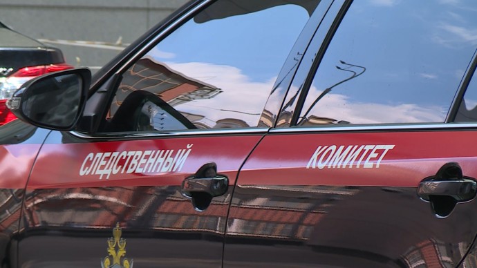 В Петербурге мать оскорбляет восьмерых детей: СК проводит проверку