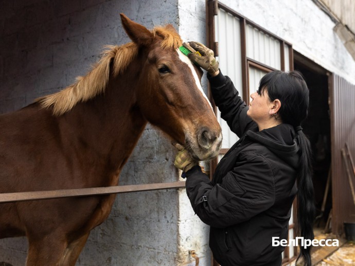 Любовь с первого взгляда. Белгородка исполнила свою мечту и стала хозяйкой лошади