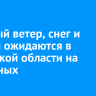 Сильный ветер, снег и метели ожидаются в Иркутской области на выходных