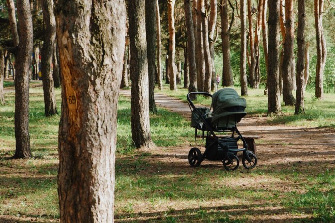 Пензенским родителям рассказали, где бесплатно арендовать товары для новорождённых Пензенским родителям рассказали, где бесплатно арендовать товары для новорождённых