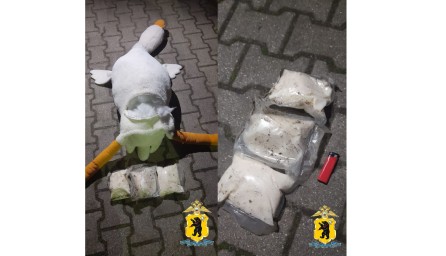В Ярославском округе у жителя Владимирской области в плюшевом гусе нашли почти 1,5 кг наркотиков