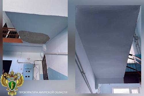 В Приамурье управляющую компанию наказали за отслоившуюся штукатурку в подъезде В Приамурье управляющую компанию наказали за отслоившуюся штукатурку в подъезде
