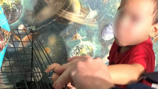 Спасатели помогли 4-летнему уфимцу освободить палец из клетки с крысами Спасатели помогли 4-летнему уфимцу освободить палец из клетки с крысами