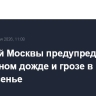 Жителей Москвы предупредили о возможном дожде и грозе в воскресенье