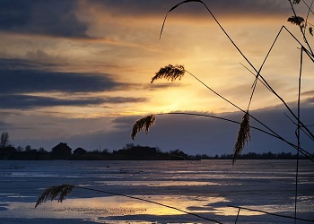 Гидрологическая обстановка в Амурской области на 22 августа Гидрологическая обстановка в Амурской области на 22 августа