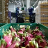 Гарбузов отметил расширение географии поставок столичной компании