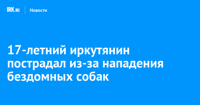 17-летний иркутянин пострадал из-за нападения бездомных собак