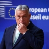 В Европе предрекли начало третьей мировой войны в случае вступления Украины в НАТО