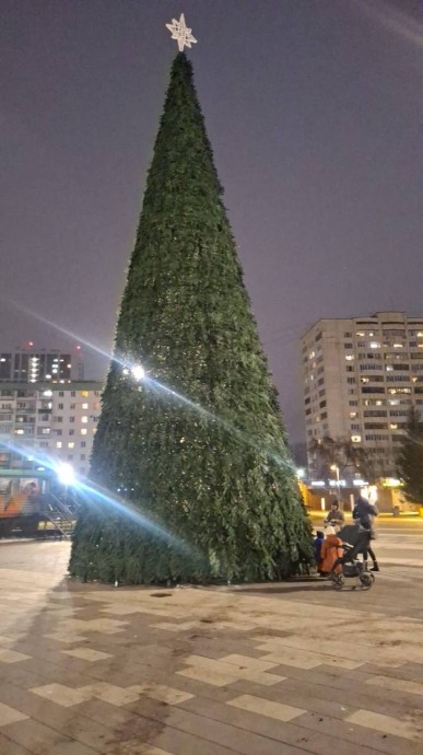 В районе Уфы установили новогоднюю ель В районе Уфы установили новогоднюю ель