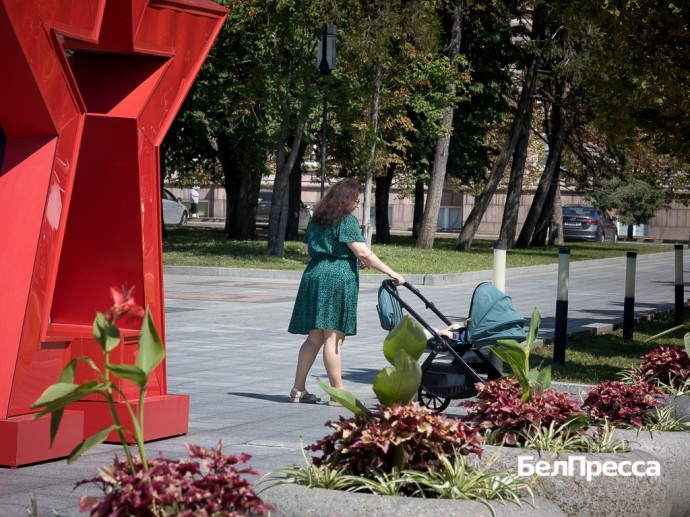 Ко Дню города в Белгороде установили новые цветочные экспозиции и исторические стенды