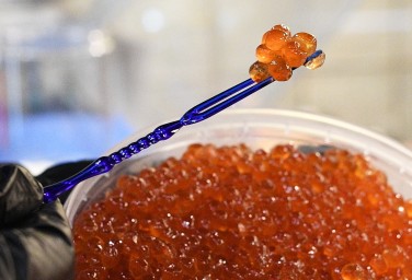 Роскачество обнаружило кишечную палочку в икре пяти торговых марок