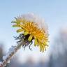 На Сахалине дожди и снегопады, а на Курилах до +14 °C: прогноз погоды для региона на 30 мая