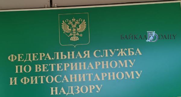 В Бурятии Россельхознадзору устроили нагоняй за самовольные проверки