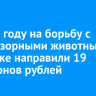В 2025 году на борьбу с безнадзорными собаками в Иркутске направили 19 миллионов рублей