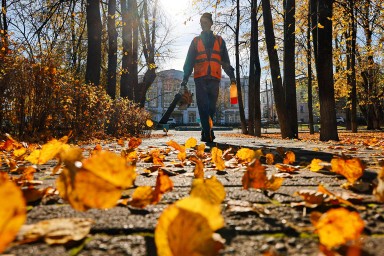 В Марфино подрались коммунальщики