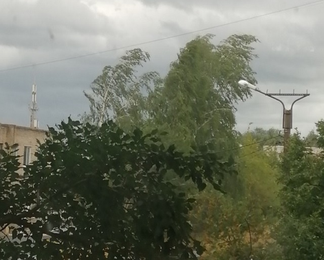 На 27 июня в Мордовии прогнозируются порывы ветра и возможная гроза