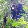 В Уфе спасатели сняли с дерева девочку с котенком