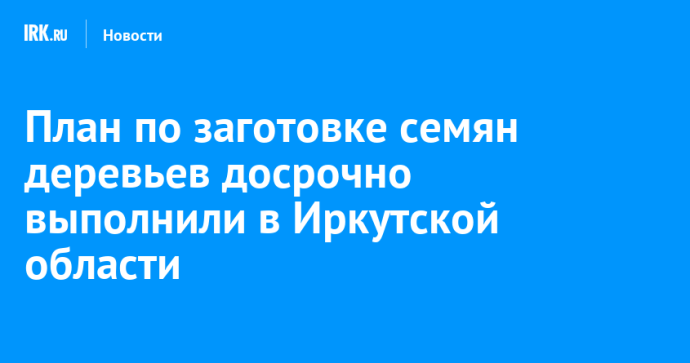 План по заготовке семян деревьев досрочно выполнили в Иркутской области