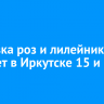 Выставка роз и лилейников пройдет в Иркутске 15 и 16 июля