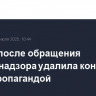 Roblox после обращения Роскомнадзора удалила контент с ЛГБТ-пропагандой