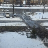 Дерево рухнуло в Южно-Сахалинске из-за сильного ветра