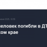 Шесть человек погибли в ДТП в Алтайском крае
