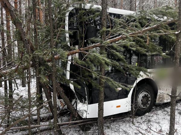 Прокуратура взялась за ДТП с 4 пострадавшими в Иркутской области Прокуратура взялась за ДТП с 4 пострадавшими в Иркутской области