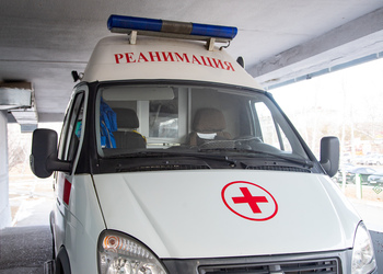 В Амурской области на обочине трассы скончался водитель